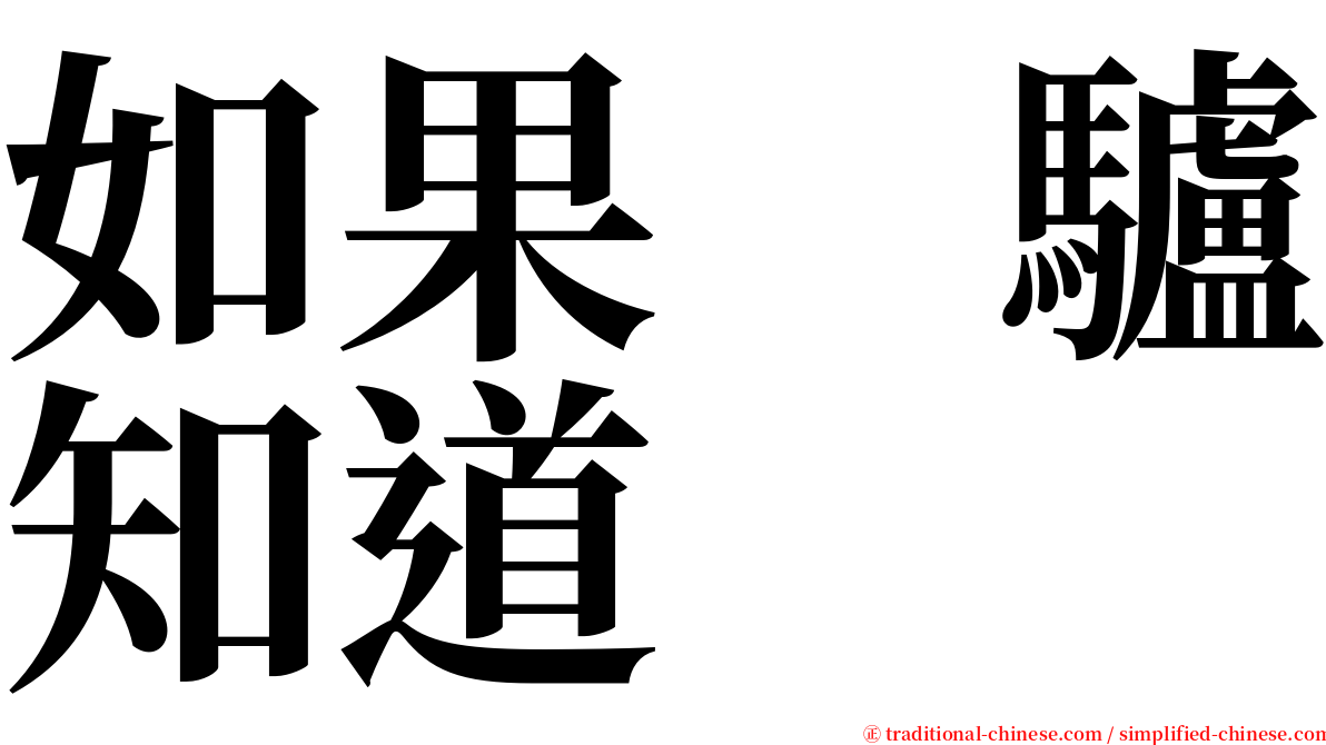 如果　驢知道 serif font